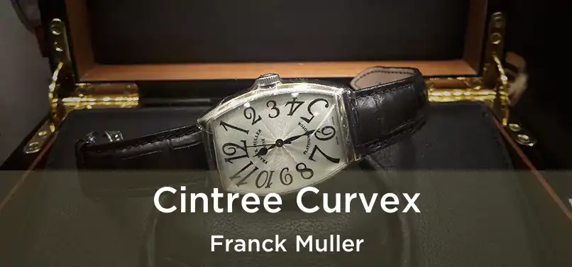 Cintree Curvex Franck Muller